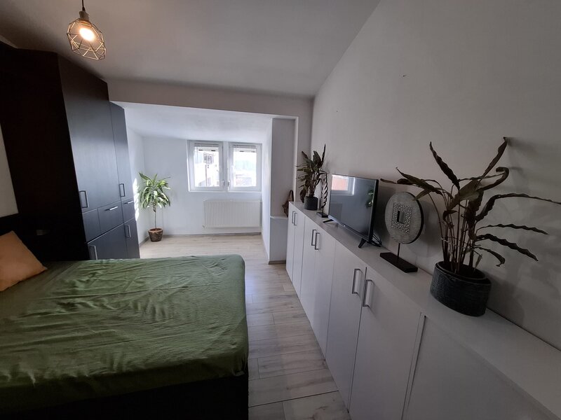 Sisesti, vedere superba, spatios si versatil